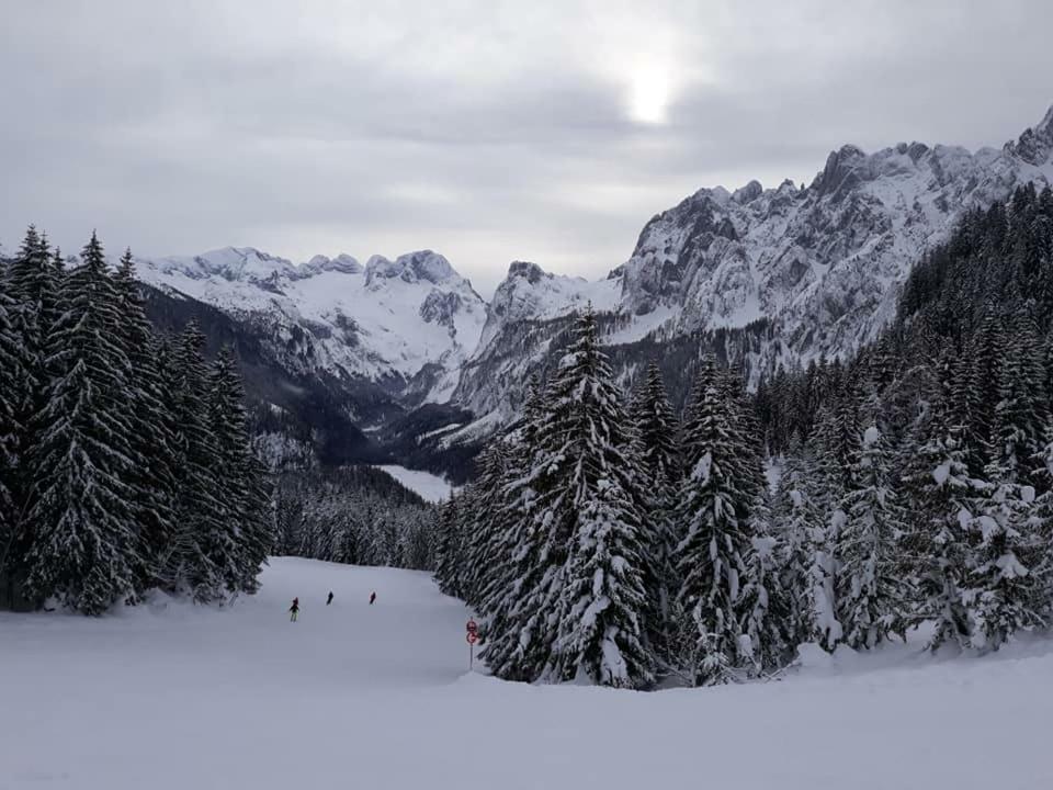 Dachstein View Ski Apartment Gosau Exteriér fotografie